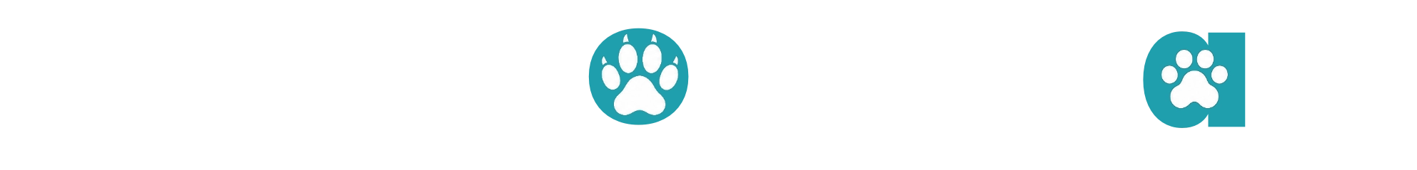 AllTheDogsAndCats